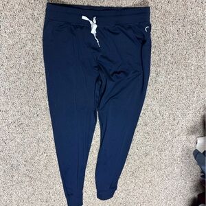 Women’s Medium ZYIA Navy Joggers